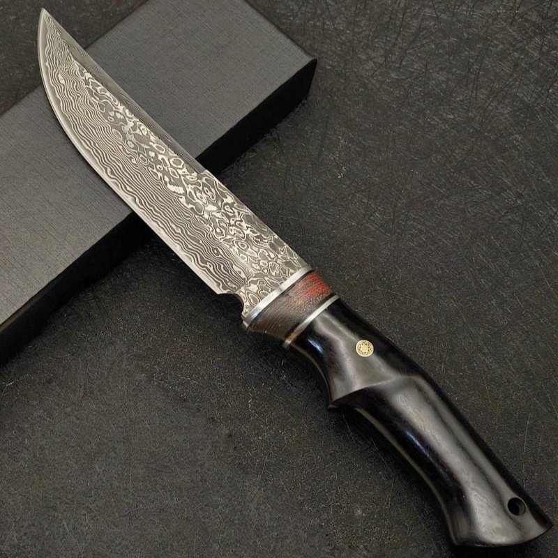 دمشق VG10 في الهواء الطلق صلاب - مراجعة Dive Knife Titanium وسعره